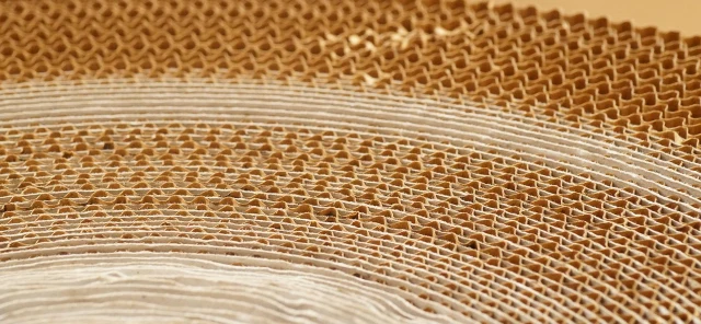 Paper Packaging: What Businesses Need to Know